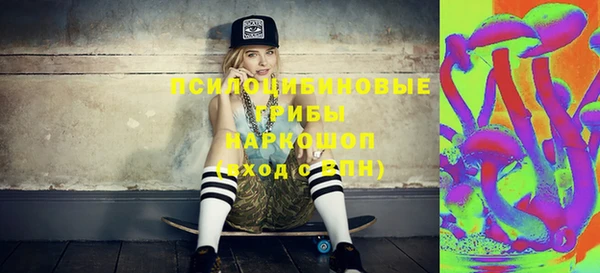 мдпв Коряжма