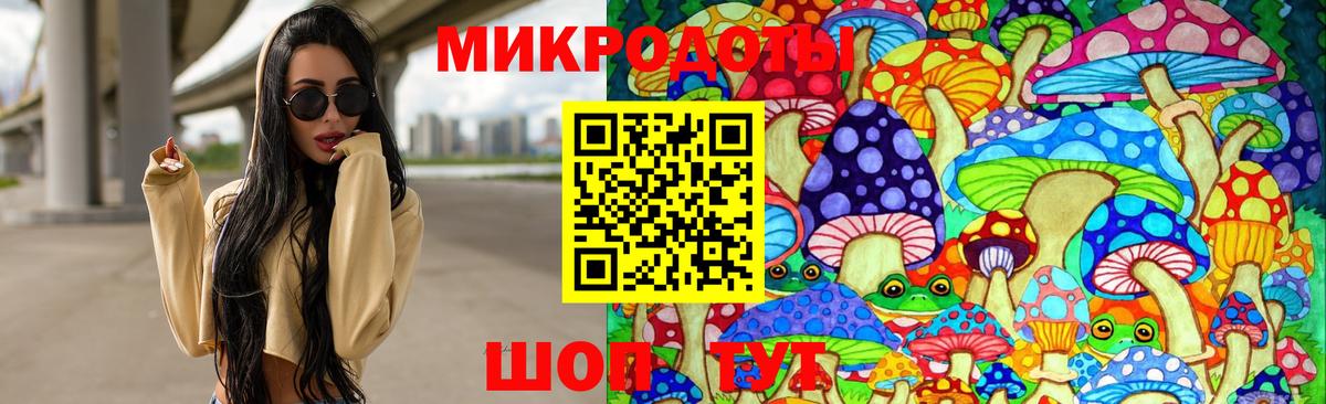 Псилоцибиновые грибы Psilocybe  Вход с VPN  Смоленск 