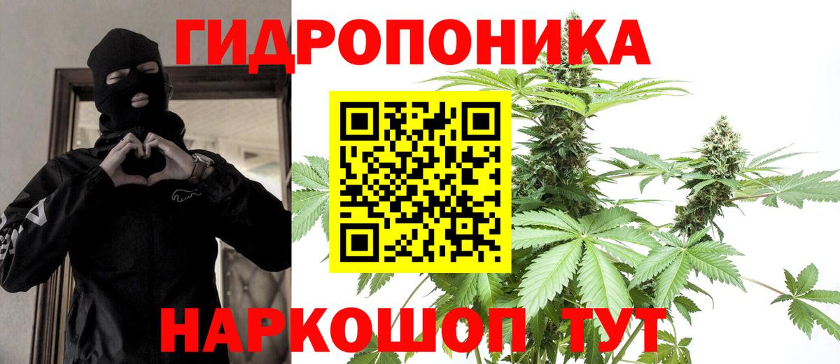 Бошки Шишки конопля Смоленск